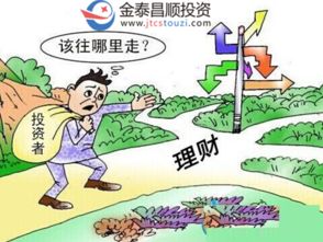 深圳市金泰昌順投資管理 聚焦四大投資主線，驅動價值成長新篇章